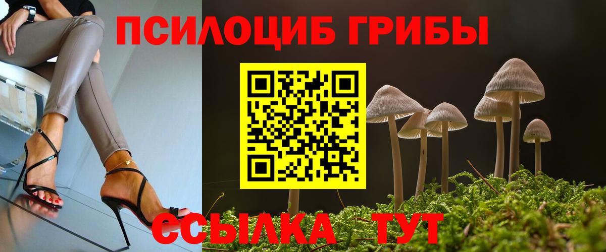 Фурманов  Псилоцибиновые грибы Cubensis  Вход с VPN 